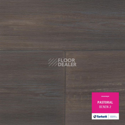 Линолеум Tarkett Pastoral BENIN 2 фото 1 | FLOORDEALER